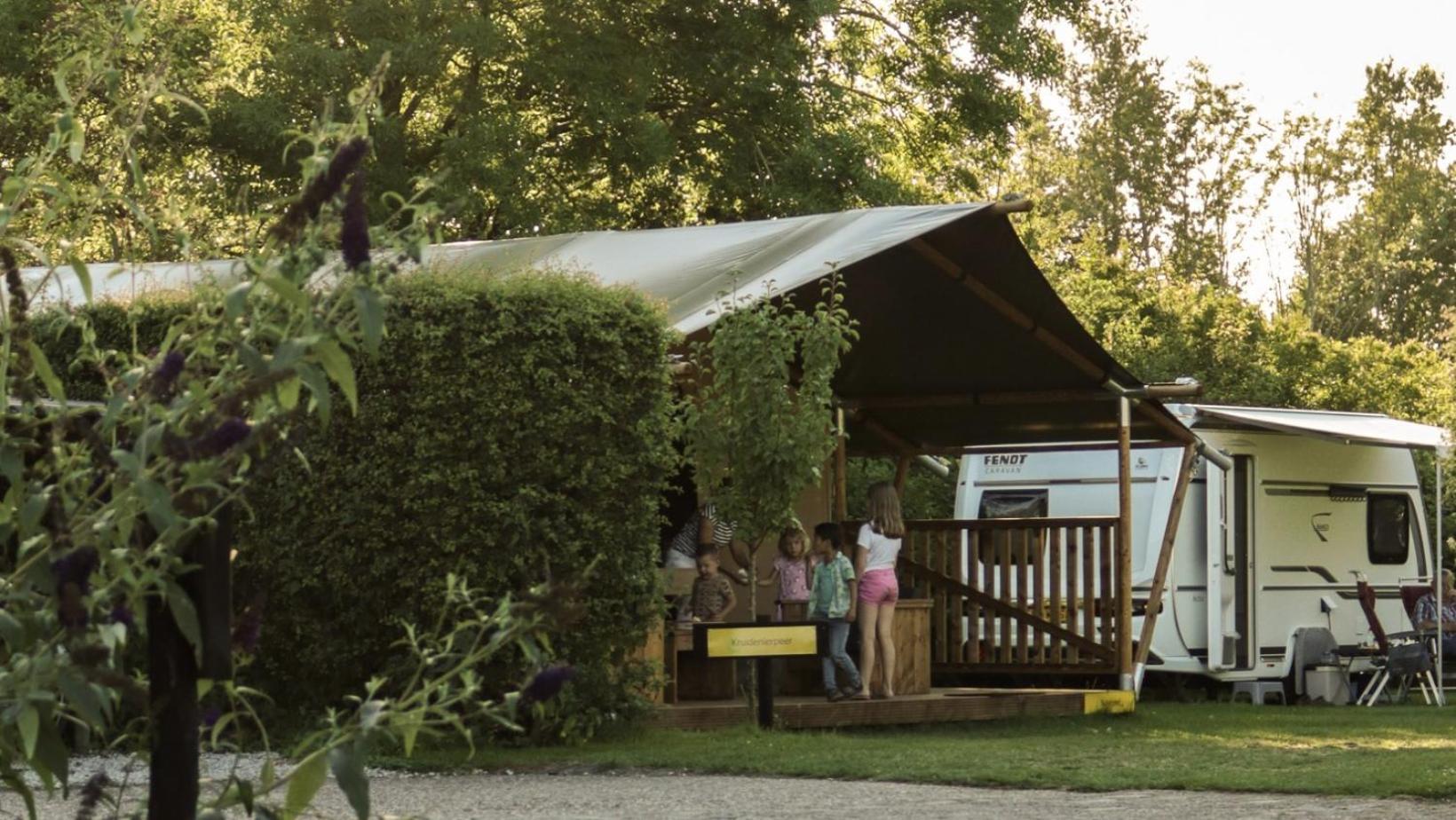 Vakantiepark De Toffe Peer Ruinerwold Zewnętrze zdjęcie