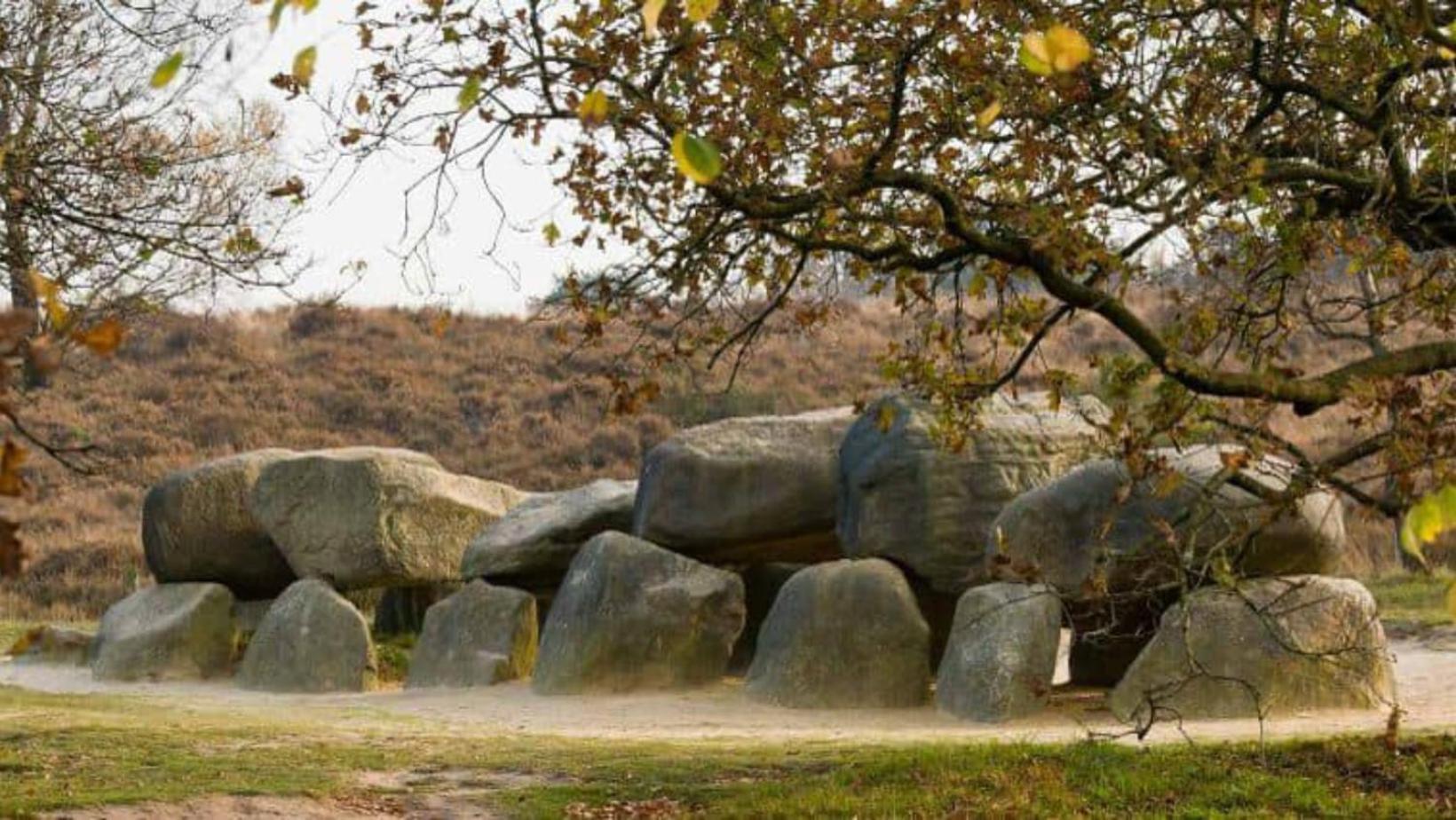Vakantiepark De Toffe Peer Ruinerwold Zewnętrze zdjęcie